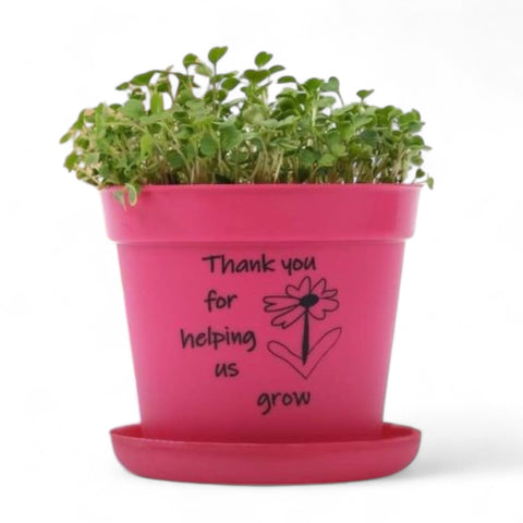 Grow & Play