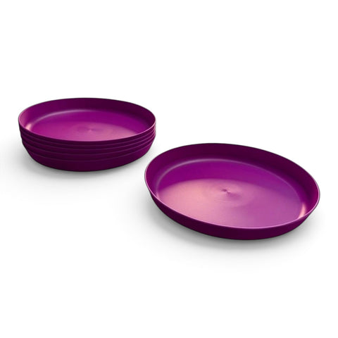 Jungle Plate - 6 PCs
