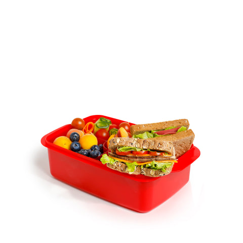 Lunch box 1.5 L with splitter