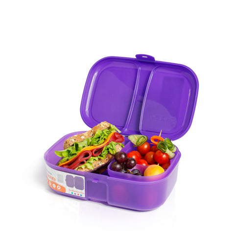 Lunch box 1.8 L with splitter