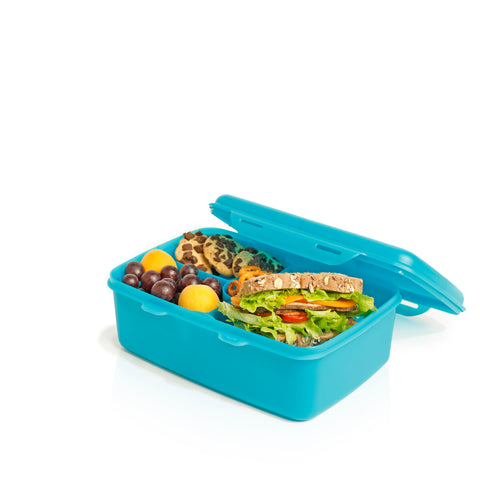 Lunch box 2 L with splitter