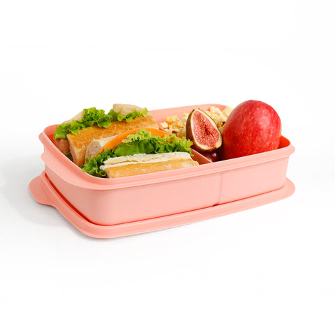 Divided Lunch box 1 L
